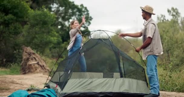 野外野营 野外野营和团队合作的夫妻 帐篷或投手 手牵手放松一下 为在公园 树林或与树木同行探险而兴奋 — 图库视频影像