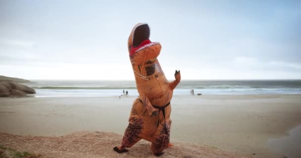 Kostümler Plaj Karate Zen Huzur Için Doğa Neşe Maskot Şişme — Stok video