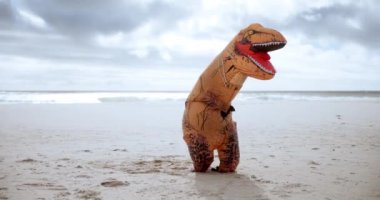 Hayvan, komik ve dinozor kostümü sahilde dans ederken tatil gezilerinde komedi şakası yapmak için enerjiyle dans ediyor. Aptal, aptal ve tatilde okyanus kenarında hareket eden, zıplayan ve eğlenen şişme maskotlu kişi.