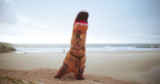 Kostým Oceán Zábava Tai Chi Zen Klid Pro Pláž Wellness — Stock video