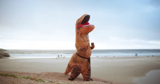 Costume Sea Fun Tai Chi Zen Peace Joke Wellness Nature — Stock Video