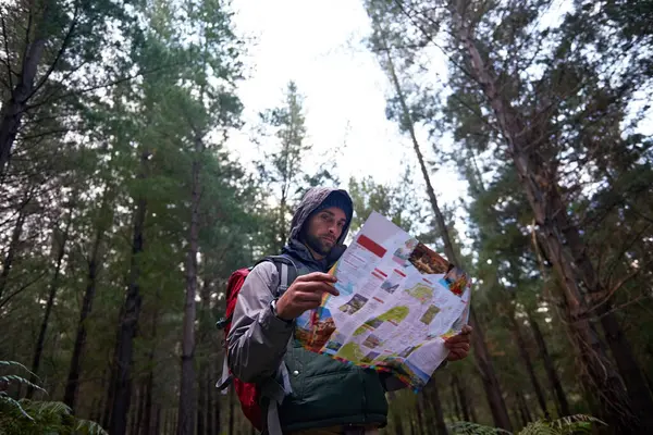 Hiking, forest and man search map for direction to camp on adventure in woods and reading navigation. Confused, travel and lost in nature trekking with backpack, plan and guide to location on paper.