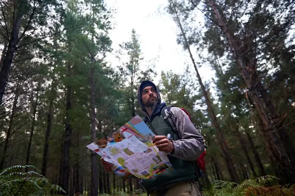 Lost, man and search forest with map as guide to camp in woods and thinking of navigation or direction. Confused, travel and trekking in nature with backpack and plan to location on hiking journey.