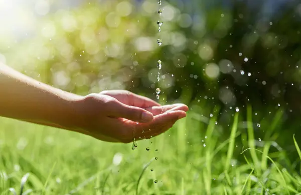 在地球日的室外 自然和水滴 营造环境友好 可持续的生态环境 在有生长的手掌上洒水 在花园中浇灌优质 有规律或有规律的清洁液体以促进人权 — 图库照片
