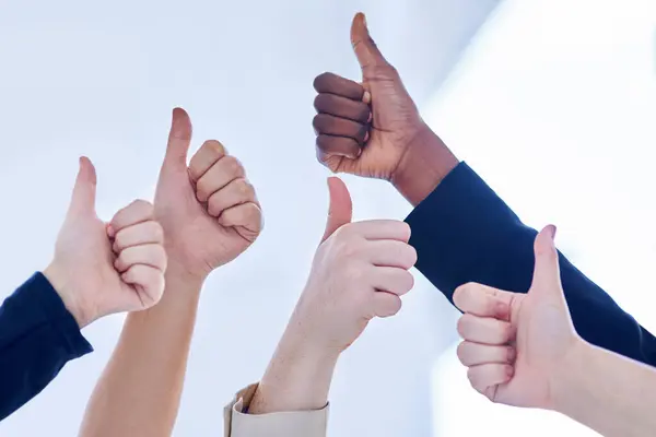 People, diversity and thumbs up for teamwork, collaboration and partnership for success and support. Hand, group and emoji for good job, thank you, yes sign or winning for solidarity and agreement.