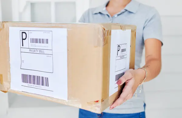 Person Delivery Box Ecommerce Logistics Shipping Service Distribution Returns Export — Stock Photo, Image
