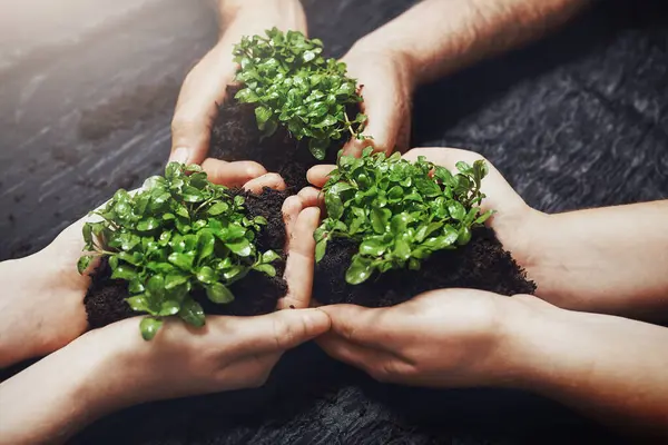 Plant soil, hands and global with teamwork by dark surface for nature and environment future for Earth Day. Sustainability, collaboration and diverse people with climate change and green for ecology.