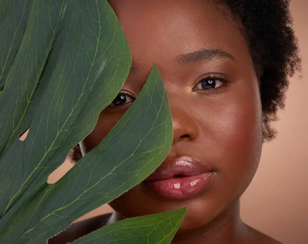 Φυτό Πορτραίτο Και Μαύρη Γυναίκα Στούντιο Για Ομορφιά Περιποίηση Δέρματος — Φωτογραφία Αρχείου