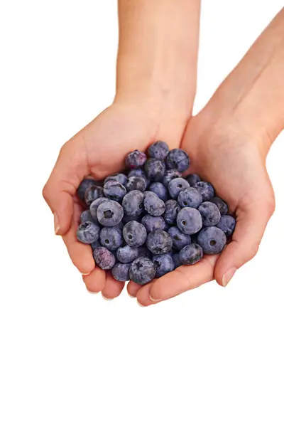 Bunch Blueberries Woman Hands Studio Healthy Organic Balanced Diet Eating — Stock Photo, Image