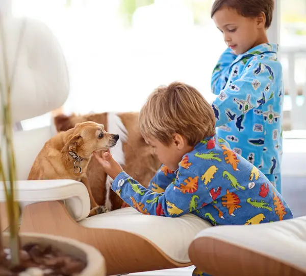 Kinderen Hond Spelen Huis Voor Hechting Woonkamer Met Pyjama Voor — Stockfoto