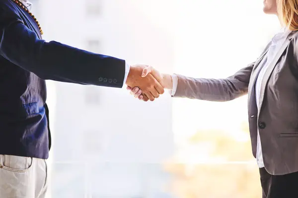 Business People Handshake Meeting Partnership B2B Agreement Deal Together Office — Stockfoto