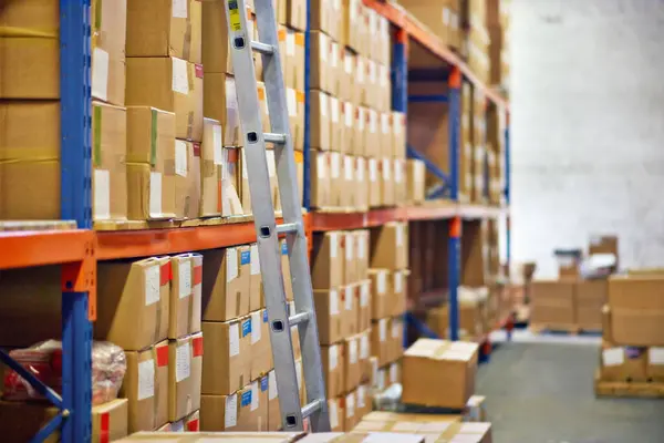 Boxes, ladder and shelves with inventory at warehouse for distribution, supply chain or logistics. Empty room or interior of packages, cargo or shipment in factory or storage for export or import.