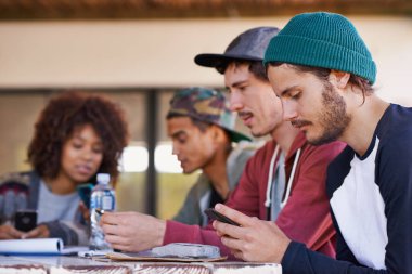 Öğrenci, akıllı telefon ve araştırma projesi için birkaç arkadaş kampüste ders çalışıp sosyalleşiyorlar. Mola, takım çalışması ve sınıf ödevi için cep telefonu, eğitim ve çeşitli insan grupları.