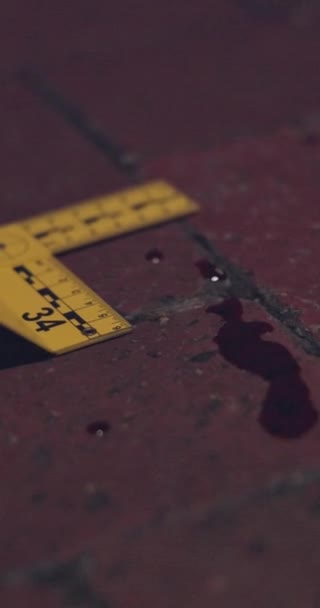 Darah Nomor Dan Forensik Tkp Investigasi Dan Kecelakaan Atau Pelanggaran — Stok Video