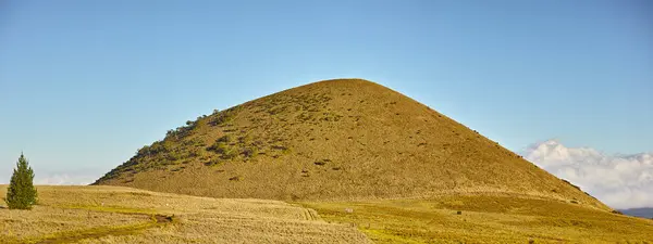 Uscat Câmp Peisaj Mediu Deal Sau Iarbă Vulcan Muntele Kea — Fotografie, imagine de stoc