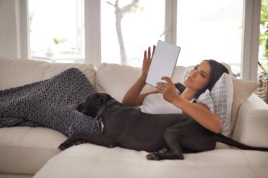 Kadın, tablet ve köpek evde rahatlamak için oturma odasında battaniyeli e-posta, iletişim ve çevrimiçi film yazıyorlar. Kişi, teknoloji ve sosyal medya araması, internet aboneliği veya koltukta rahatlık.