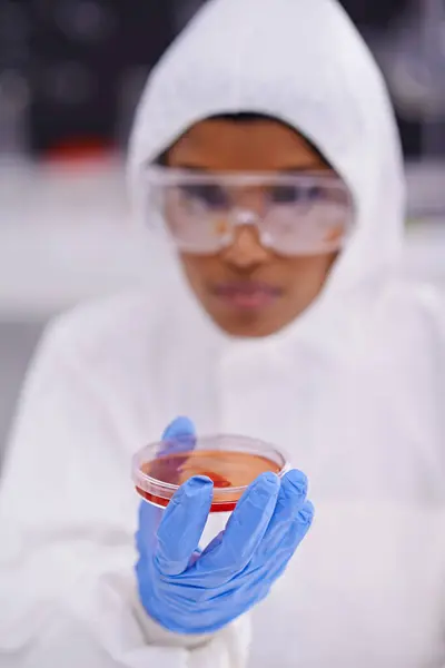 Ciencia Laboratorio Científico Con Muestra Placa Petri Para Investigación Médica —  Fotos de Stock