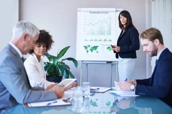 Businesswoman Presentation Conference Room Charts Analytics Report Growth Development Graphs — Stock Photo, Image