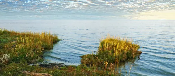 Lac Herbe Côte Avec Paysage Ciel Horizon Dans Environnement Ensoleillé Photo De Stock
