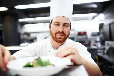 Salata, şef ya da lokantadaki adam öğle yemeği, güzel yemekler ya da akşam yemeği sunumu. İş, kafe ya da yemek, servis ya da mutfak mutfağı, yemek ya da yemek malzemeleri uzmanı.