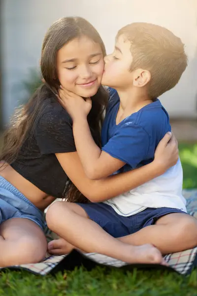Kids Boy Kiss Sister Hug Family Picnic Outdoor Summer Weekend Royalty Free Stock Photos