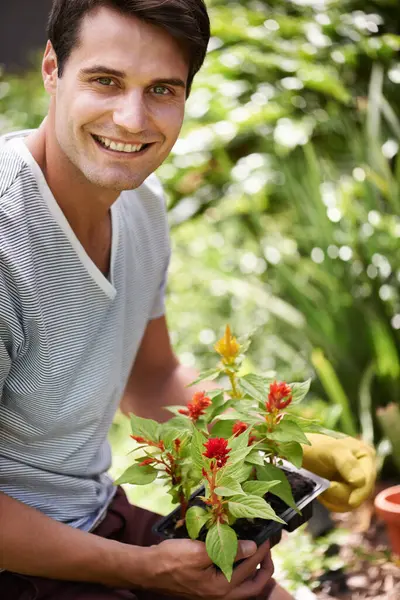 Bahçe, baharda ya da bahçede rahatlamak için portre, insan ya da bitki yetiştirme. Erkek bahçıvan, sağlıklı fide ya da çiçek bakımı doğal, sürdürülebilir yaşam ya da karbon yakalama.