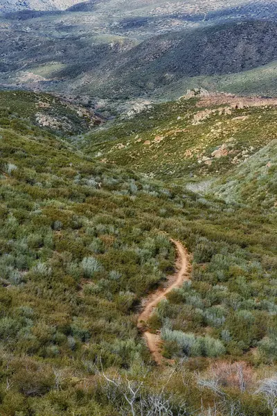 Nature Desert Trail Foliage Enviroment Blue Sky Travel Tourism California Stock Photo