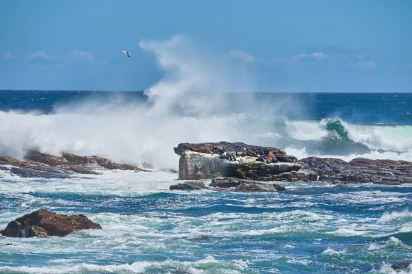 Волна Вода Камни Пляже Океане Небом Природе Летом Отдыхе Бразилии Лицензионные Стоковые Фото