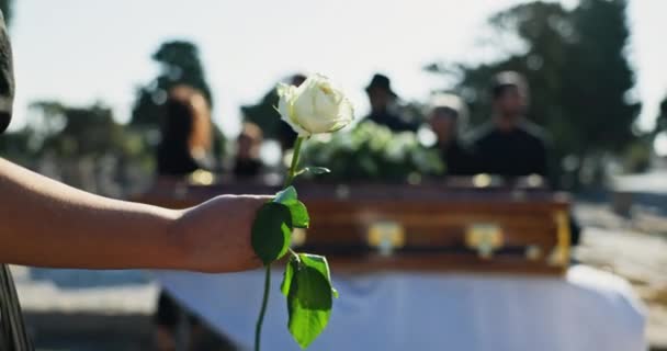 Цветок Гроб Руки Человека Кладбище Похорон Смерти Поминальной Службы Боль — стоковое видео