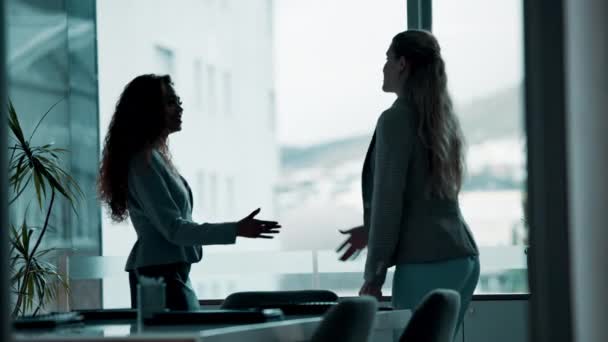 Kadınlar Sıkışın B2B Tartışması Için Ofis Siluet Ortaklık Ile Ilgilenin — Stok video