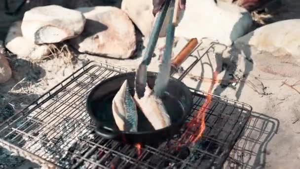 Ogień Siatka Ręce Gotowanie Ryb Lesie Kemping Podróży Zrównoważonego Połowów — Wideo stockowe