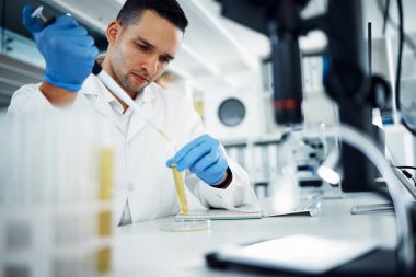 Laboratuvarda sağlık hizmetleri yenilikleri için araştırma, muayene ya da kimyasal analiz için deney tüpündeki bilim, insan ve damlalar. Pipette, ciddi bilim adamı ve ilaç, sıvı veya biyoteknoloji için tıbbi çalışma.
