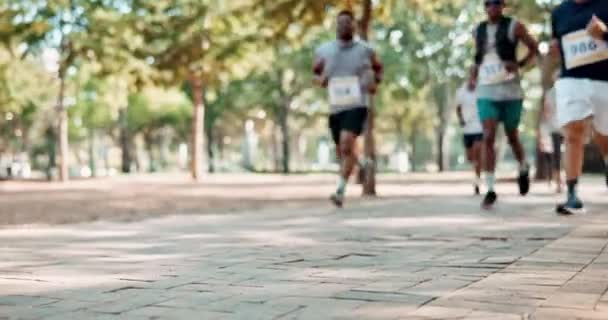 Skupina Nohy Běžci Pro Fitness Cvičení Trénink Parku Pro Městský — Stock video