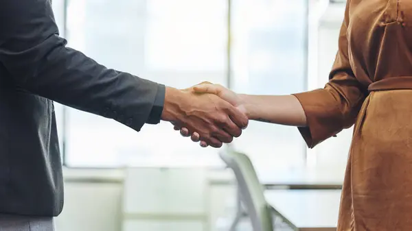 Handshake Agreement Deal Business People Office Meeting Contract Opportunity Partnership — Stock Photo, Image