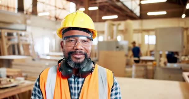 老年人 肖像业 木匠业 专业服务以及在工厂与杂工共事的非洲工匠 — 图库视频影像