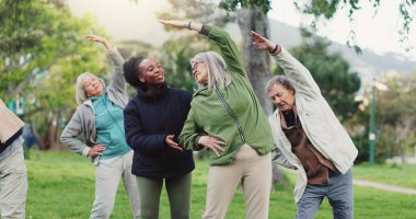 Yoga sınıfı, park ve son sınıf öğretmenleri birlikte sağlık ve sağlık eğitimi için egzersiz yapıyorlar. Huzur, denge ve yaşlılar dışarıda spor yapıyor ya da vücut geliştirme için esniyor.