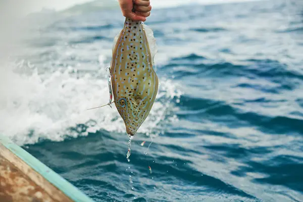 Water Fish Hand Fisherman Sea Adventure Weekend Holiday Vacation Thailand — Stock Photo, Image