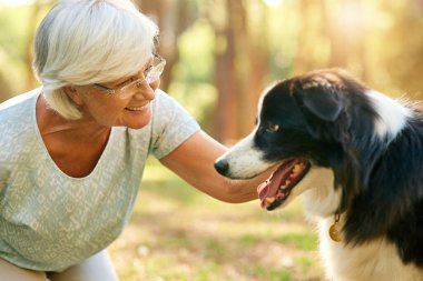 Kıdemli kadın, köpek ve ormanda bakım gülümseme, aşk ve yaz güneşinde macera ile temasta. Parkta, ormanda ya da kırsal kesimde yaşayan yaşlı insan, hayvan ve sınır çobanı..