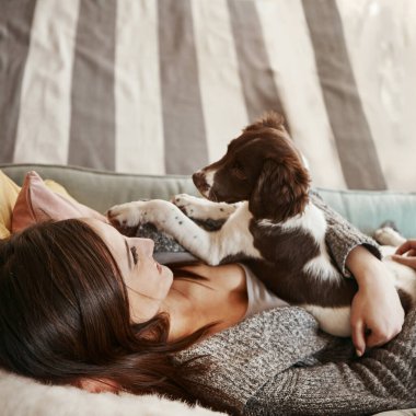 Mutlu, kucaklayan ve köpeği olan bir kadın evcil hayvanla evcil hayvan odasında bağ kuruyor. Gülümse, hayvan ve dişi insan rahatlıyor, sarılıyor ve evdeki kanepede sevgi ve özenle köpek yavrusuna sarılıyor.