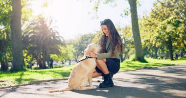 Park, doğa dostu ve köpeği olan kadın ve arkadaşlar birlikte yürümek, oynamak ve dışarıda antrenman yapmak için. Gönüllü, hayvan kurtarma ve evcil hayvan Labrador 'u olan mutlu insan..