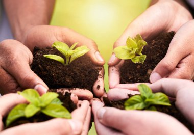 Bitki, el ve toprak destekle işbirliği, toprak sağlığı ve tarım sektöründe gelecek için bahçıvanlık umudu. Ekoloji, takım çalışması ve insanlar veya çevre sağlığı, toplum ve sosyal yardım.