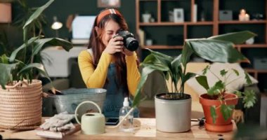 Bahçıvanlık, fotoğrafçılık ve sosyal medya, blog ve online ipuçları için evde bitkileri olan bir kadın. House, Monstera ve Kız yaratıcı proje, sanat veya büyüme gururu için kamerayla ayrılıyorlar..