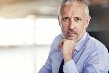 Ofis, gururu ve portresi olgun iş adamlarının özgüveniyle, bizimle ve hukuk firmasının ciddi müdürüyle ilgili. Hukuk danışmanı, avukat ya da masa başında güven, destek ve maket alanı olan bir lider..