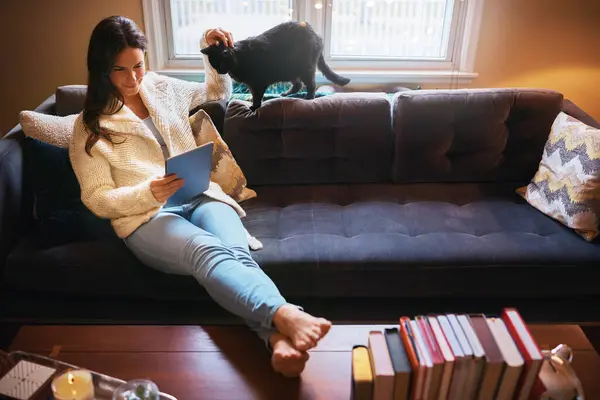 Stock image Relax, tablet and woman with cat on couch for news article, social media or communication in living room. Connection, online and person with pet for reading ebook, blog or browsing internet in home.