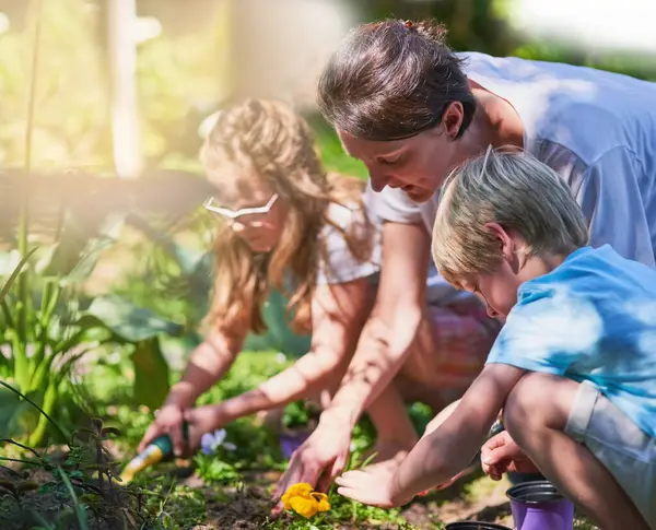 stock image Gardening, mother and kids in backyard, nature and bonding together with hobby, playful and skills. Family, single parent and mama with children, plants or learning environment with landscape or soil.