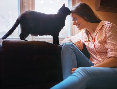 Kadın, rahatla ve evde kedi öpücüğü ver. Aşk, tırmalama ve evcil hayvan, yoldaş veya sadakat için. Kadın insan, evcil hayvan bakımı ve huzur oturma odasında veya alnında sevgi, kanepe ve destek için dokunuş.