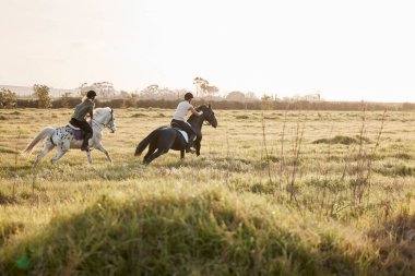 At biniciliği, arkadaşlar ve insanlar tatilde, tatilde ya da çimenlerde seyahat ediyorlar. Atlılar, hayvanlar ve kadınlar at sırtında macerada, yolculukta ve doğada birlikte yarışırlar..