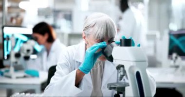 Tıbbi, mikroskop ve kadınla laboratuarda buluşlar, keşifler ya da deneyler. Yetişkin bilim adamlarıyla biyoloji için aşı ya da tedavi üzerinde yapılan buluşlar, tıp ve araştırmalar.