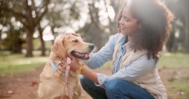 Açık hava, köpek ve kadının elleri, okşayıcı ve arkadaş olarak birbirine bağlanan. Doğa, hayvan sahibi ve Golden Retriever parkta hayvan eşliğinde yürüyüş, eğitim ve eğlence için..