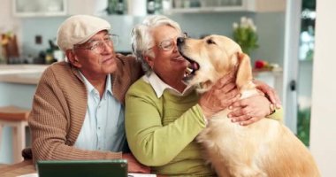 Yaşlı çift, köpek ve evde aşk için kucaklaşma, kağıt işleri ve vergi ve varlık yönetimi desteği. İnsanlar, hayvan bakımı ve mutfaktaki hayvan sevgisi, belgeler ve birlikte sigorta veya planlama için.